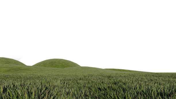 nature grass meadow land lush greenery landscape lawn isolated background. meadow green hill plant beautiful spring mountain park environment 3d render. grass plant field summer travel outdoor.