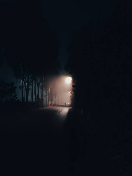 istock Night street in fog 2175815419