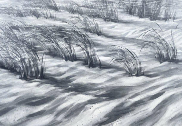 istock Sand dune monochrome grey watercolor landscape. Grass in the wind 2175815429