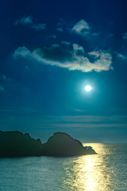 奄美大島の自然