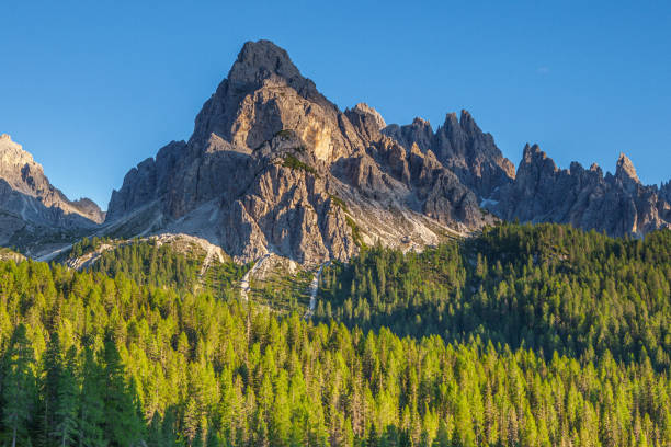 istock Mountain landscape with a barren summit with pine forest below, location: Dolomites, Italy 2175817666