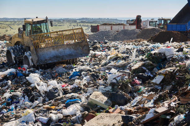 istock Heavy machinery shredding garbage in an open air landfill. Pollution 2175817867