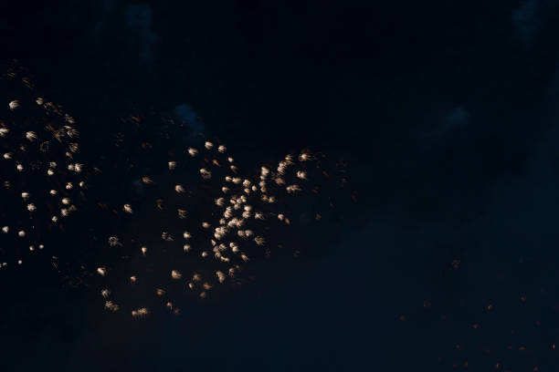 a vibrant firework display against a night sky in Busan, Korea. The bright colors and patterns create a captivating spectacle for viewers.