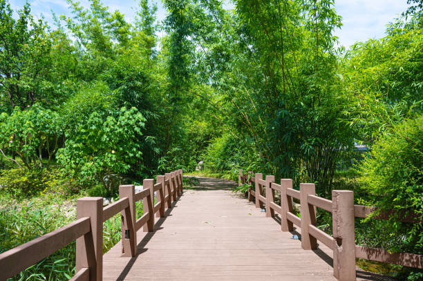 Wooden bridge walkway in the green park