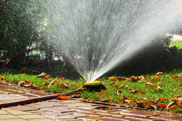 istock Water splashing from an sprinkler lawn irrigation system 2175823740
