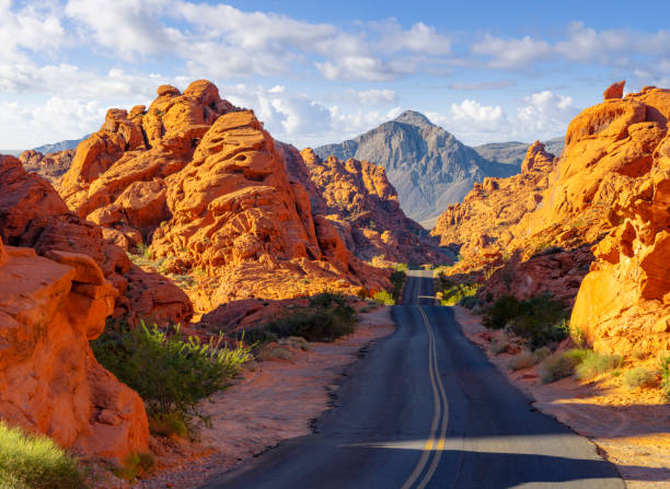 Road in Valley of Fire, Nevada. View from Mouse's Tank.