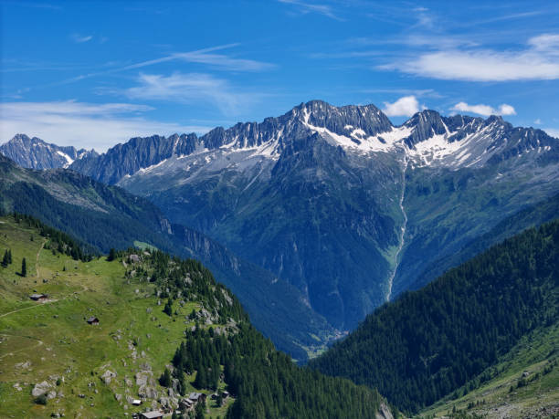 Scenic view of a lush green alpine valley surrounded by towering snow-capped mountains under a clear blue sky. Remote cabins nestled on the slopes add charm to the landscape.