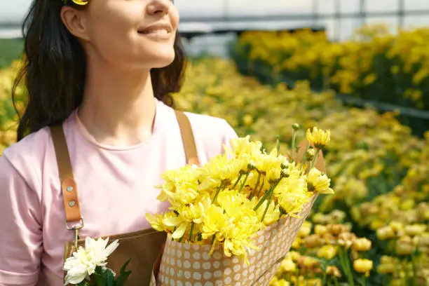 Girl with Yellow Flowers in Sunlight Girl with Yellow Flowers in Sunlight