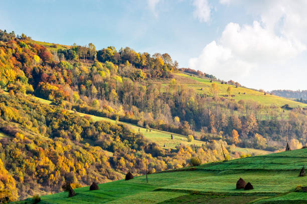 istock rural landscape in mountains. sunny autumn day 2175841884