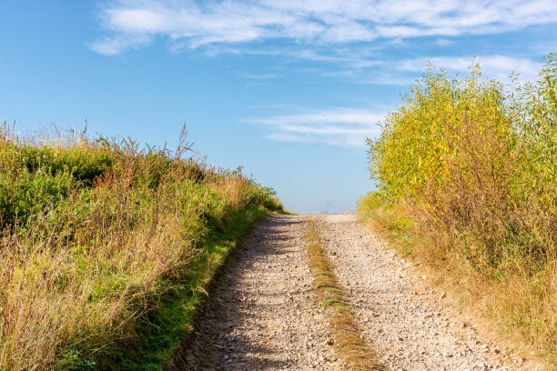 istock country road through the field uphill 2175841919