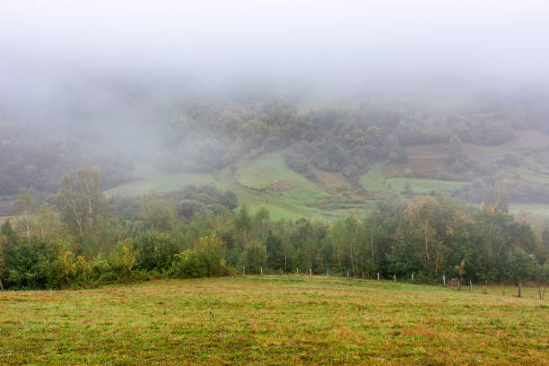 rural scenery with field on the hill. foggy weather. mountainous countryside landscape in autumn. forested slopes. transcarpathian region of ukraine in fall season