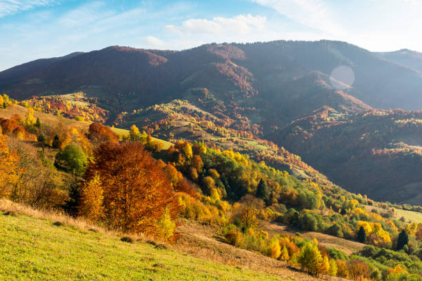 istock autumn landscape in carpathian mountains 2175842156
