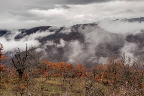 istock Mountain landscape on a cloudy winter day (Epirus, Greece) 2175844483