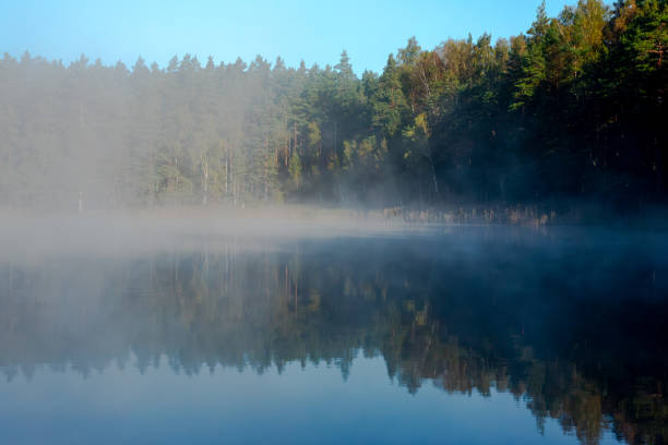 fog on the lake on a sunny autumn morning