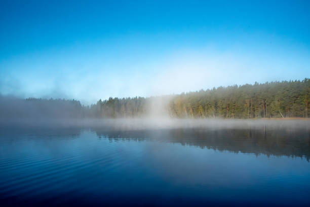 fog on the lake on a sunny autumn morning