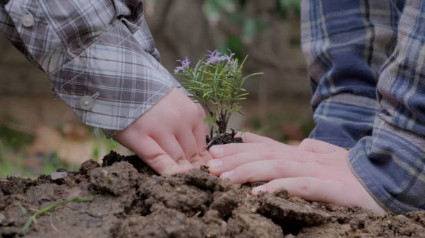 istock Boy planting a new tree, concept Save the Earth, save the world, save planet, ecology concept 2175854854