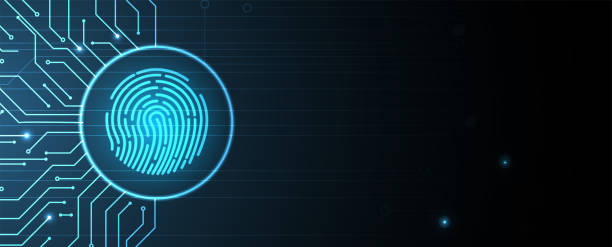 istock Cyber security and information or network protection with fingerprint. Vecor art. 2175857428
