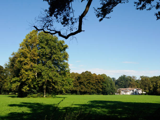 istock The Monza park at September 2175857503