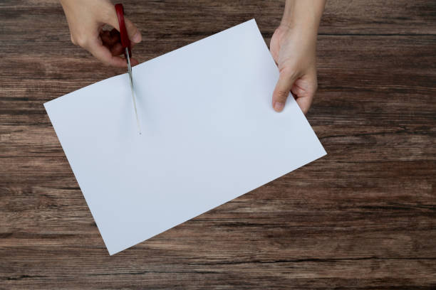 Scissors cutting a piece of blank paper