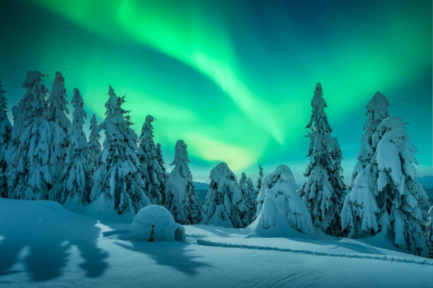 istock Wintry scene with glowing polar lights and snowy igloo 2175873704