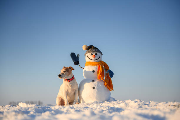 istock Smiley snowman in yellow scarf with jack russel terrier 2175876341