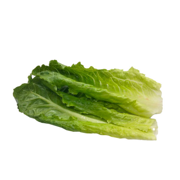 istock Closeup of green lettuce on white background. 2175878666