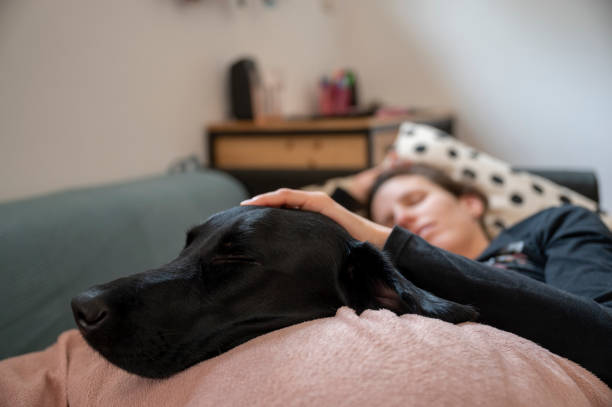 istock Young woman and her dog resting on a couch 2175883730