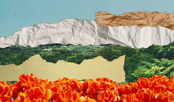 Back to nature concept paper collage.