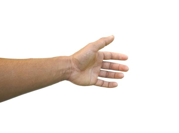 istock Men's hands making gestures like  is holding something  such as a phone or a water bottle  Isolated on white background. 2175884746