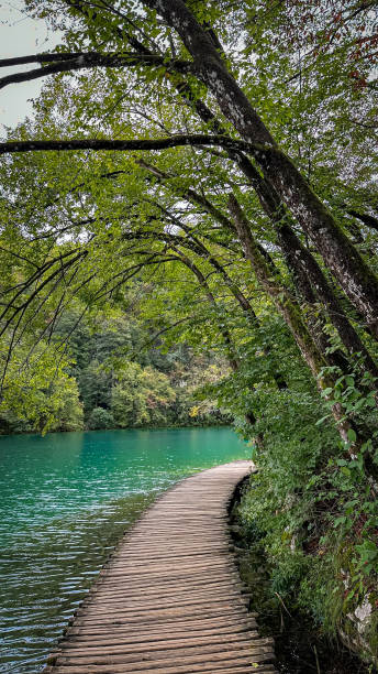 istock Plitvice lake national park in Croatia 2175885440