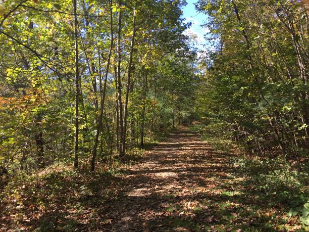 istock Waverly Glen, Waverly, NY 2175889364