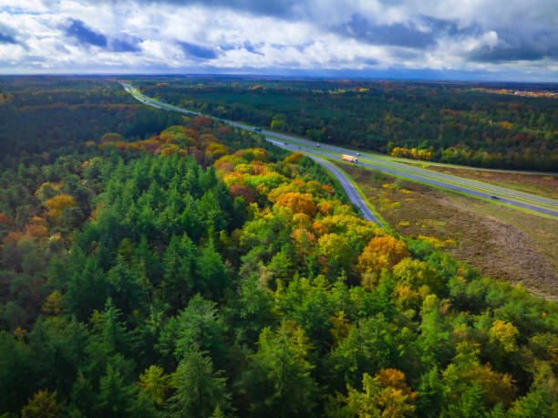 istock Autumn forest with colorful leaves seen from above 2175892610