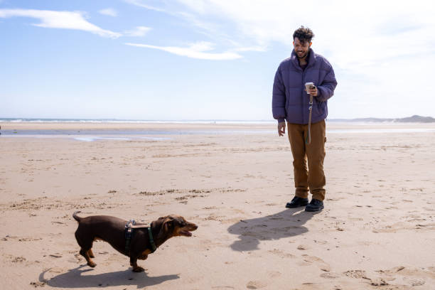 A full shot of a multiracial gay man enjoying a walk with his dog on Alnmouth Beach, Northumberland. Holding a coffee, he smiles at his playful dog on the sandy shoreline, with the scenic coast in the background.\n\nVideos are available similar to this scenario