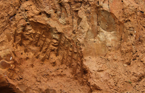 istock Clay soil cut. Red color of clay. 2175897552