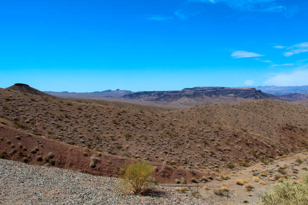 Yucca trees and rocks under blue sky, Joshua Tree National Park