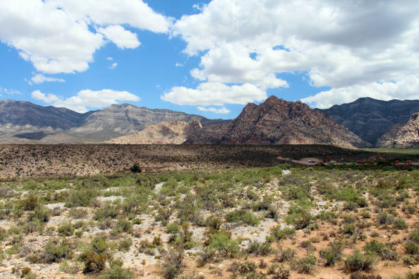 istock Desert landscape with mountains in the background 2175907894