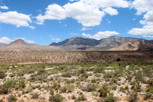 istock Desert landscape with mountains in the background 2175907895