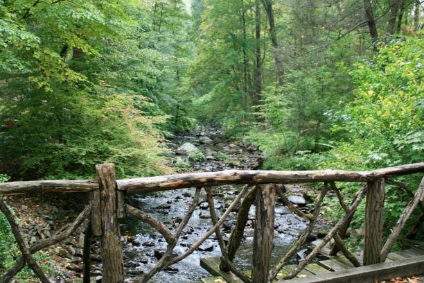 istock Seeing forest through rustic wooden bridge in Sleepy Hollow, New York 2175908260