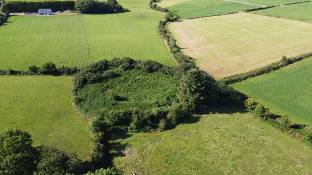 istock Green thickets among fields in Ireland, top view. 2175909195