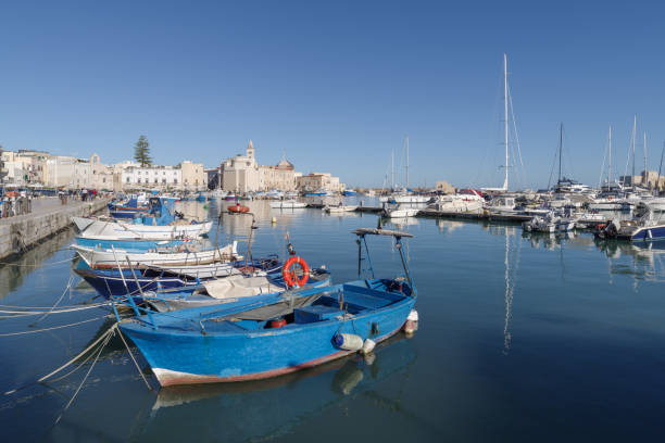istock Italy, Puglia, Trani harbour 2175911380
