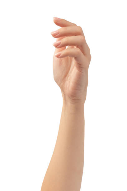 istock Woman hands with nude manicure isolated on a white background. 2175914925