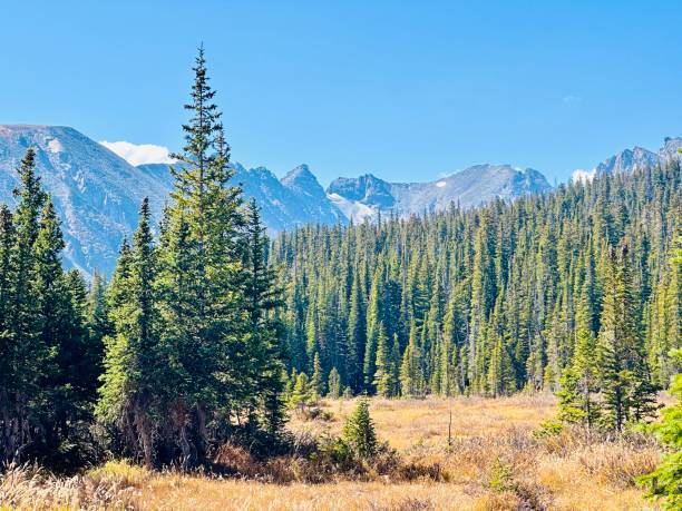 istock Peak to Peak Highway, Colorado 2175915351