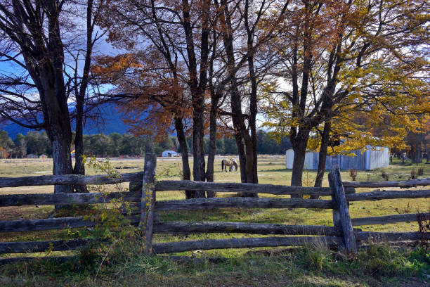 istock Landscape from patagonia 2175916928