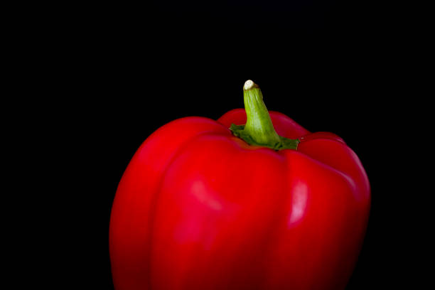 Two freshly harvested red chili peppers , showcasing their rich color and textures against a glossy black background, emphasizing their freshness and culinary potential.