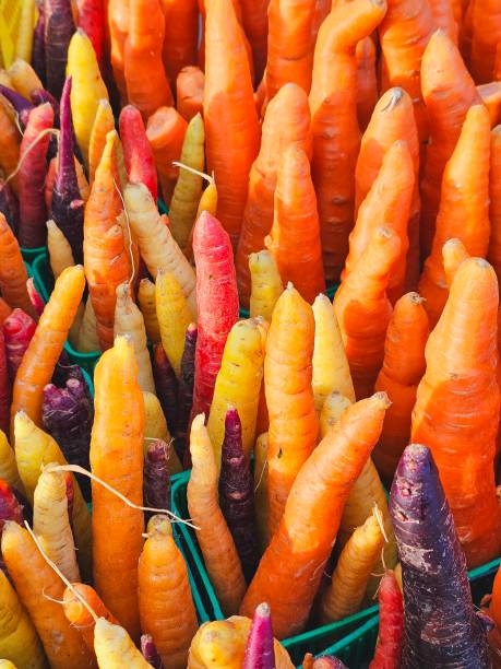 Carrots at market
