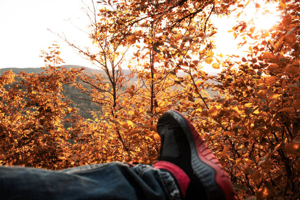istock Relaxation Amongst Autumn Foliage 2175921020