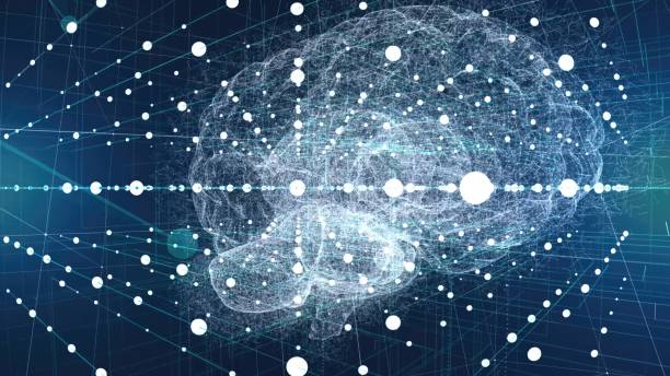 istock A close-up view of a human brain 2175924625