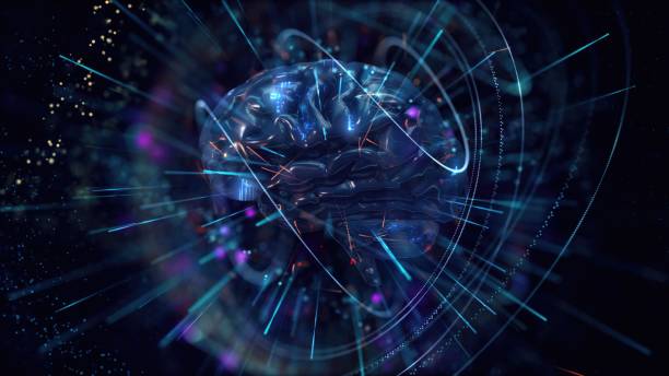 istock A close-up view of a human brain 2175924650