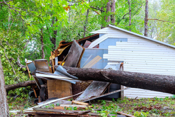 istock Shed was damaged when trees uprooted by strong winds fell on it during a hurricane 2175928021