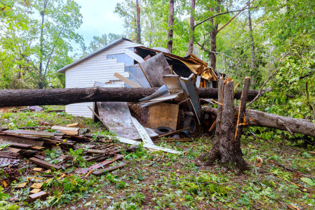 istock Storm hurricane uprooted trees that fell on a barn due to strong winds 2175928122